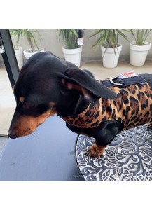 Easyfit Dog Harness - Size XS